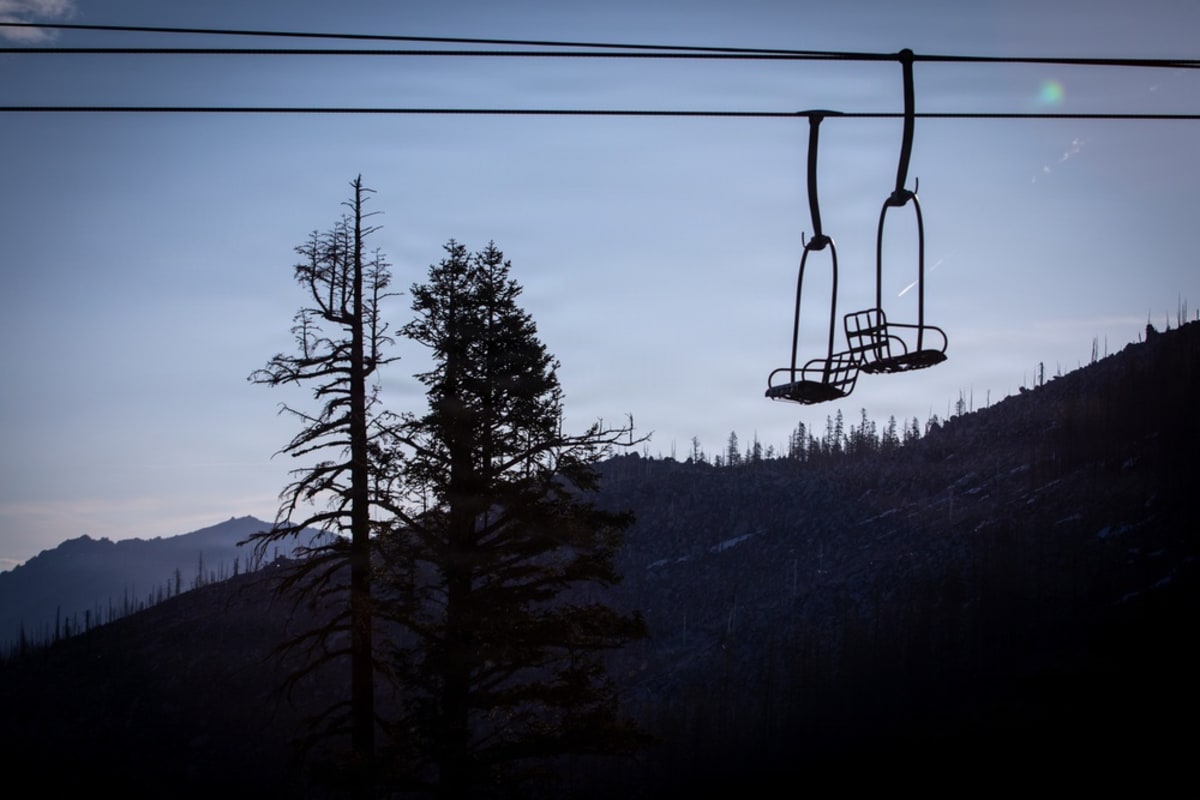 250,000 Trees Planted After California's Caldor Fire