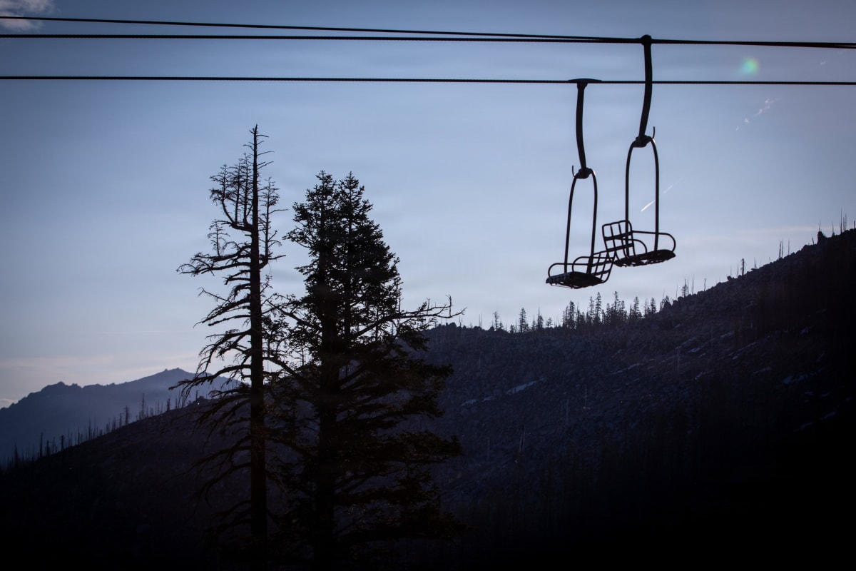 250,000 Trees Planted After California's Caldor Fire - Image 2