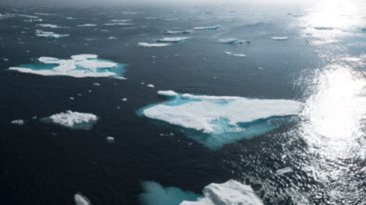 Pastor and Friend Restore Bond Through Cancer Journey - Image 4