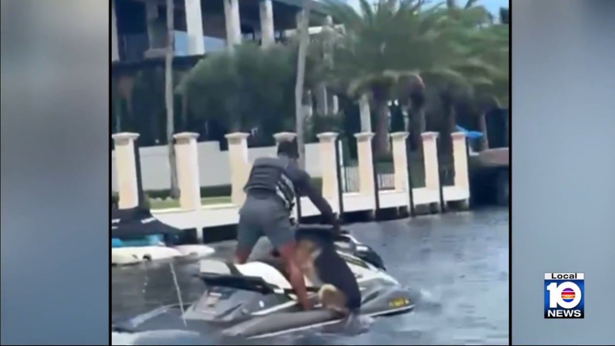 Jet Ski Worker Saves Drowning Dog in Fort Lauderdale - Image 2