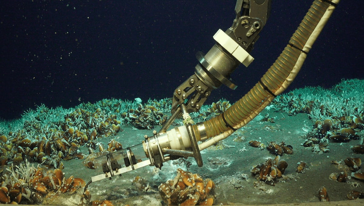 Scientists Find Never-Before-Seen Ocean Treasure in Pacific