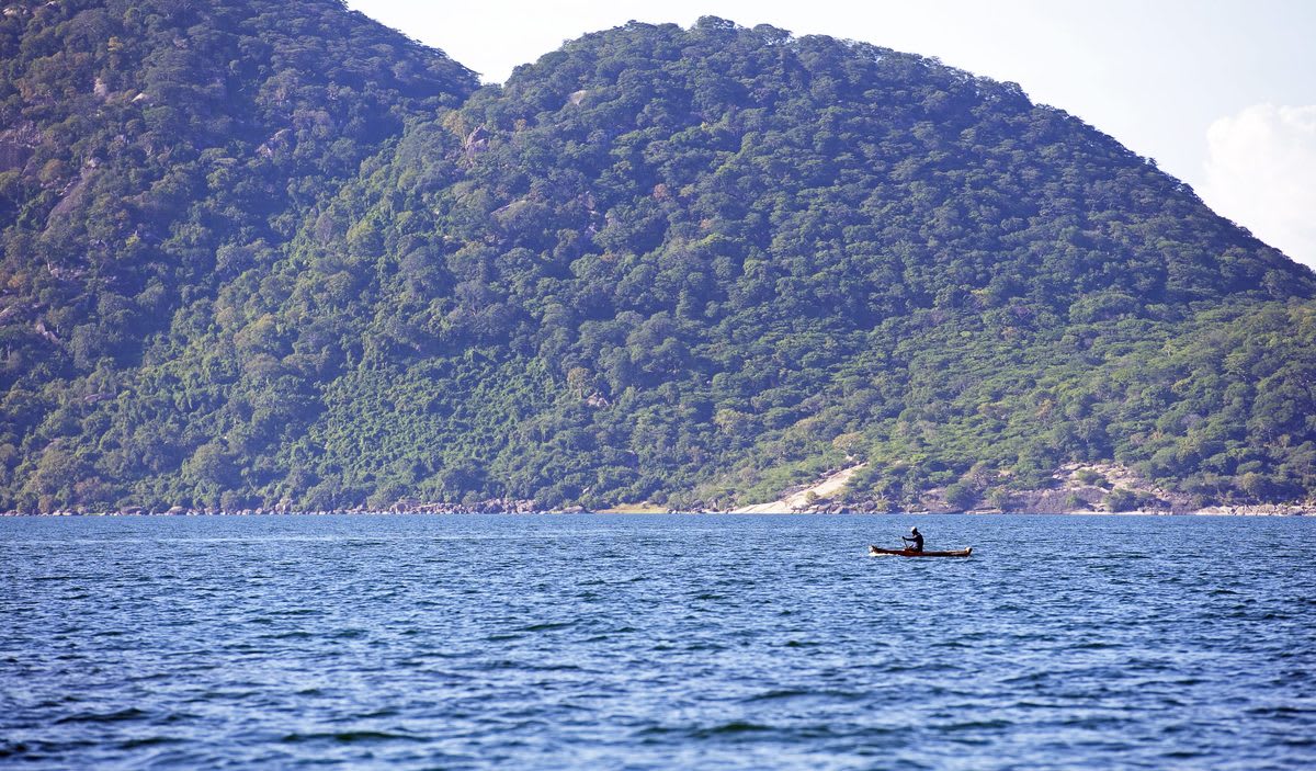 Insects Survive 200+ Meters Deep in African Lake