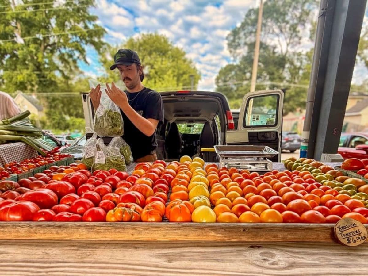 Michigan Farm Grows 54K Pounds for Food Pantries Free - Image 4