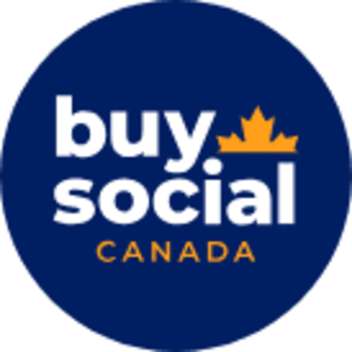 Canada's Social Enterprises Grow 22% Despite Recession Fears - Image 2