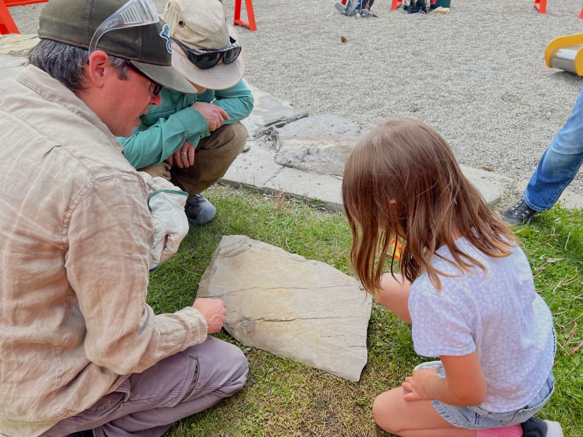7-Year-Old Finds 400-Million-Year-Old Fossil at Playground - Image 2