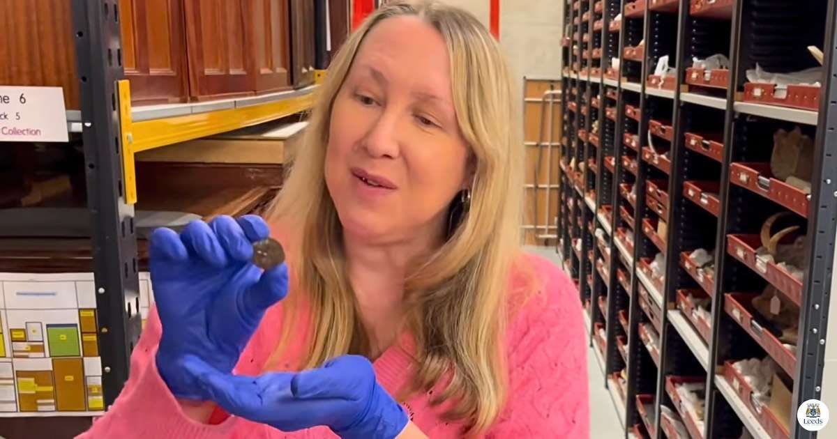 Leeds Man Donates 2,000-Year-Old Coin Found in Bus Fares