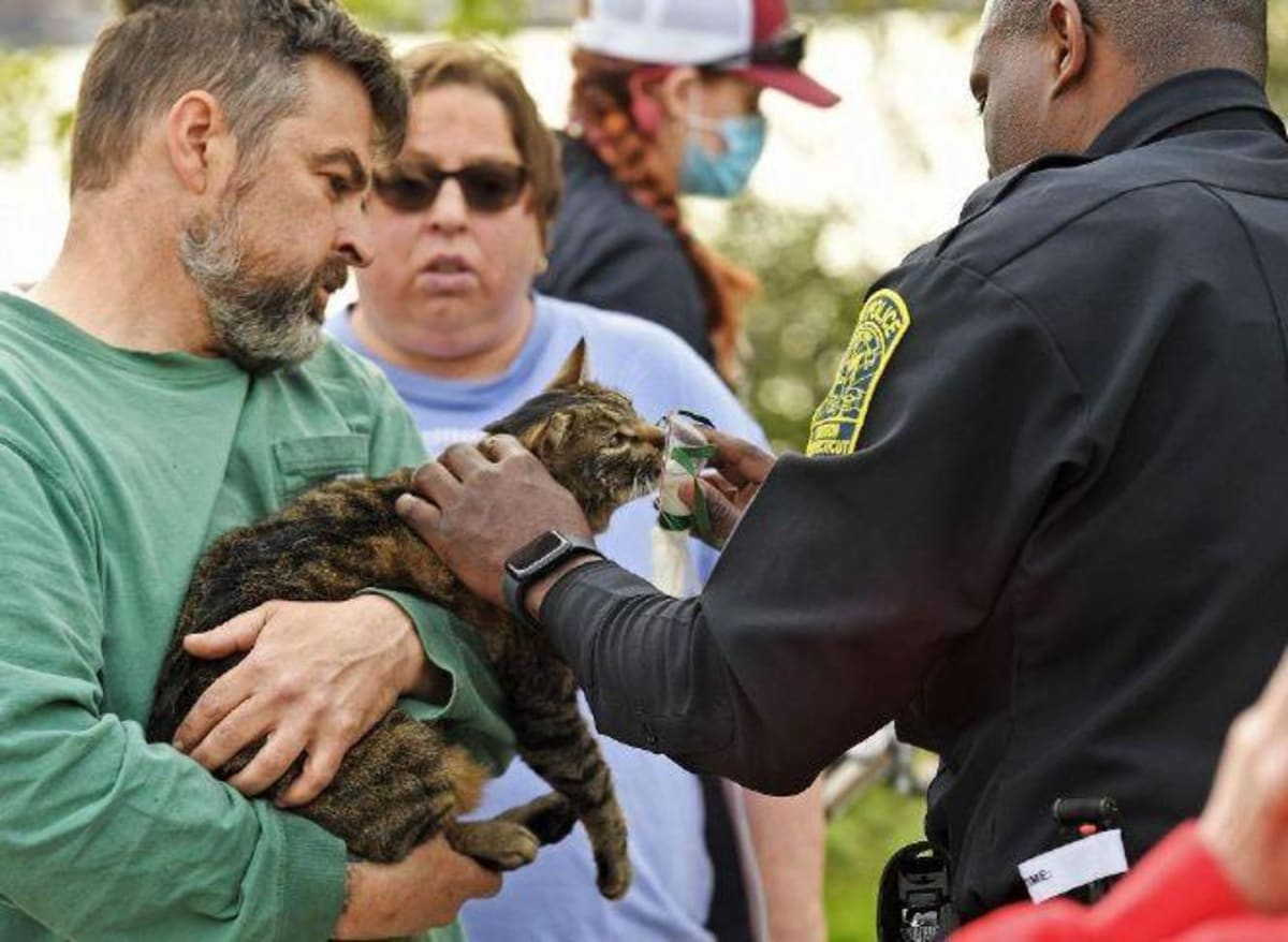 Firefighters Save Pets From Flames Across Connecticut - Image 2