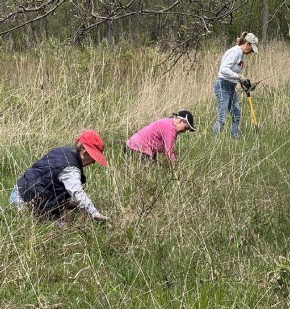 850 Trees Planted at Ohio Farm After 6-Year Cleanup - Image 2