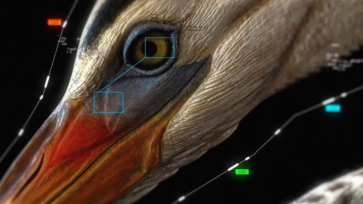 AI 'Birdwatcher' Proves Wind Farms and Wildlife Can Coexist