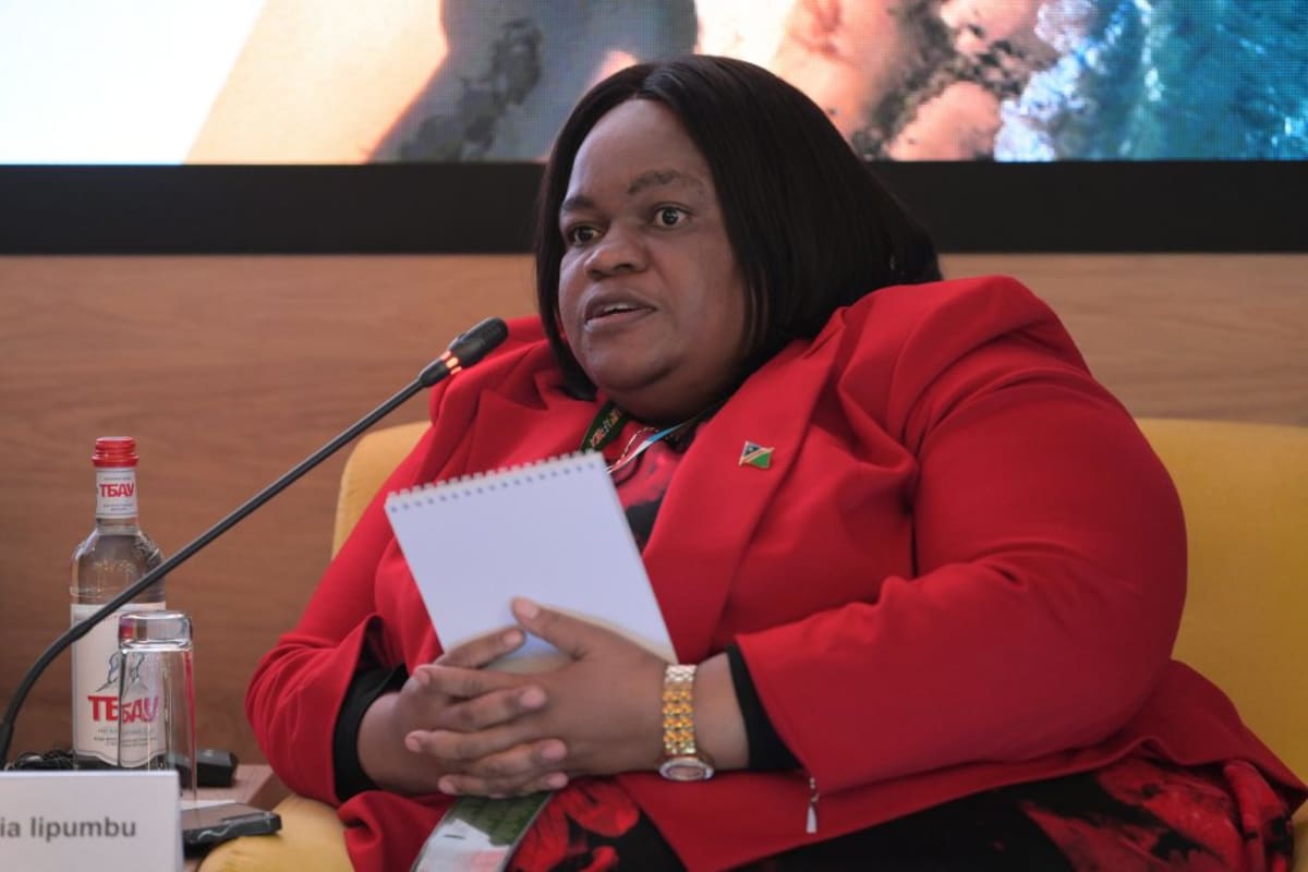 Renewables Hit 50% of Global Power Capacity in 2024 - Image 4