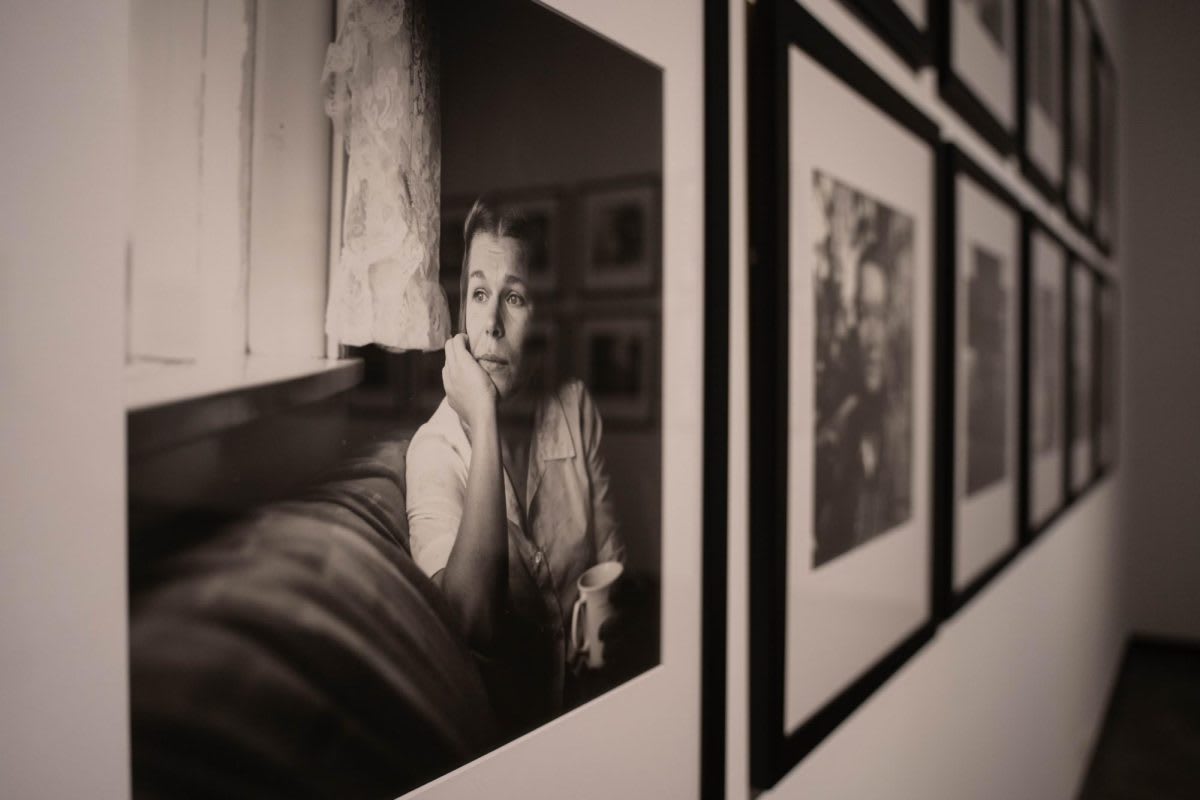 Solar Tags Track Monarch Butterflies Across Idaho - Image 5