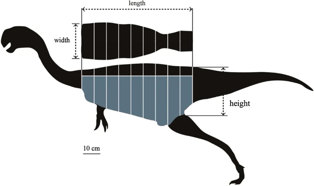 Scientists Build Life-Size Dinosaur Nest, Solve Hatching Mystery - Image 3