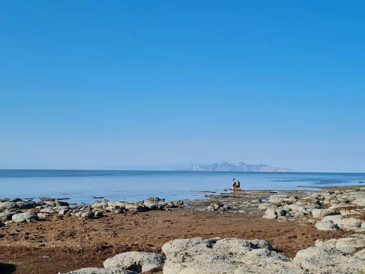 Utah Scientists Find New Worms in Great Salt Lake - Image 4