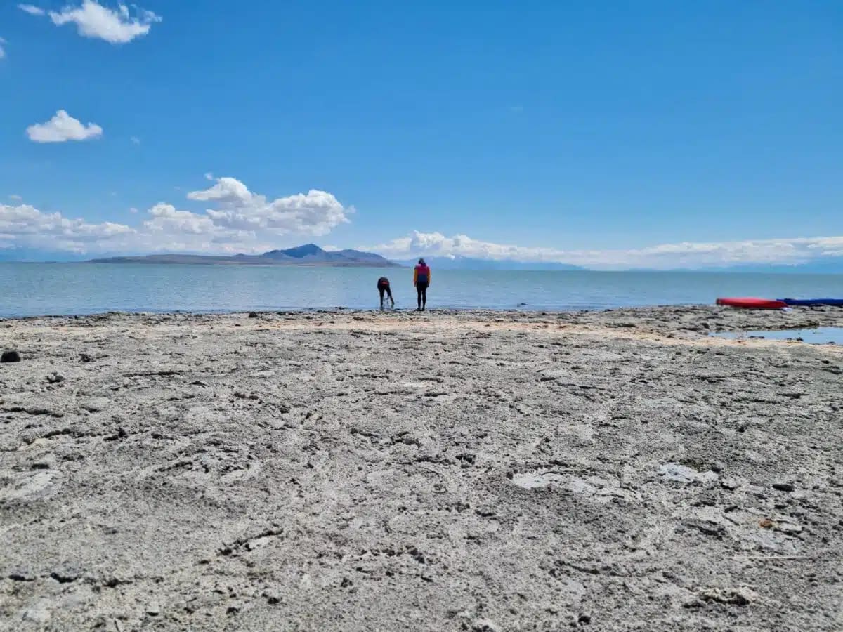 Utah Scientists Find New Worms in Great Salt Lake - Image 3