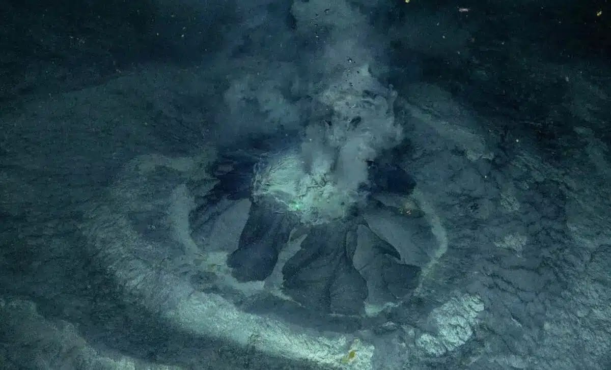 Arctic Mud Volcano Shelters Thriving Deep-Sea Oasis - Image 2