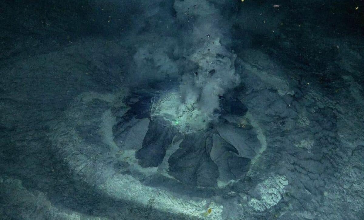 Arctic Mud Volcano Shelters Thriving Deep-Sea Oasis