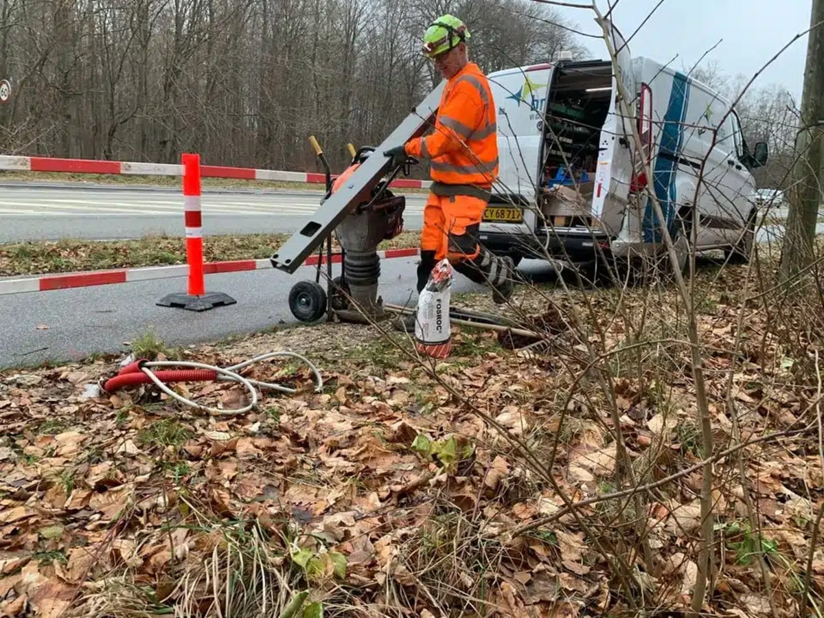 Denmark Installs Red Streetlights to Save Urban Bats - Image 3