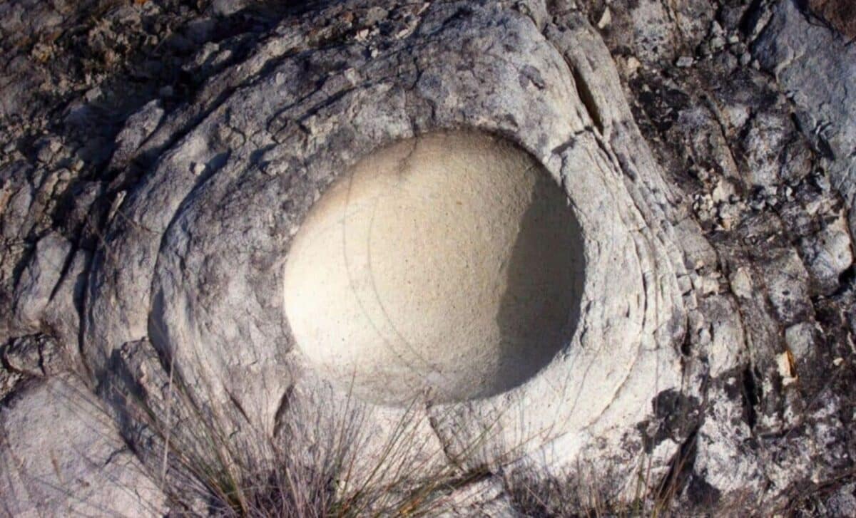 68-Million-Year-Old Dinosaur Egg Found Inside Another Egg