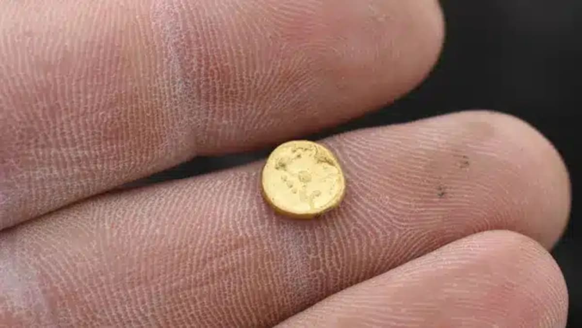 Highway Crew Uncovers 2,200-Year-Old Celtic Trade Hub - Image 5
