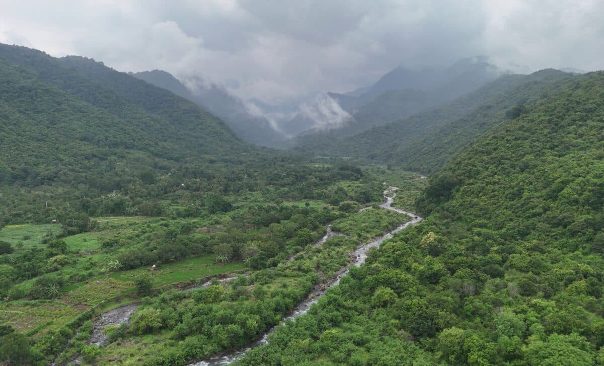 550-Million-Year-Old Sponge Solves Ancient Mystery