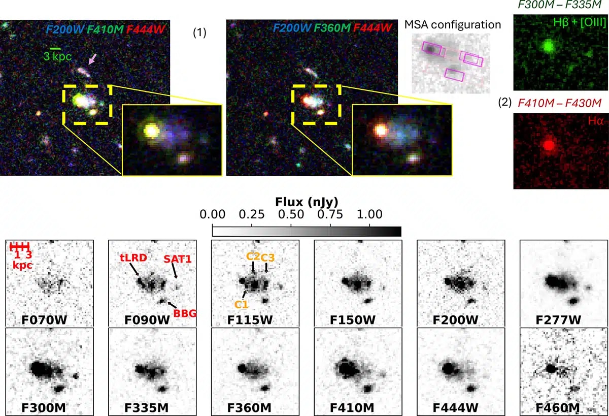 Webb Telescope Solves Mystery of 'Little Red Dot' Galaxies - Image 4