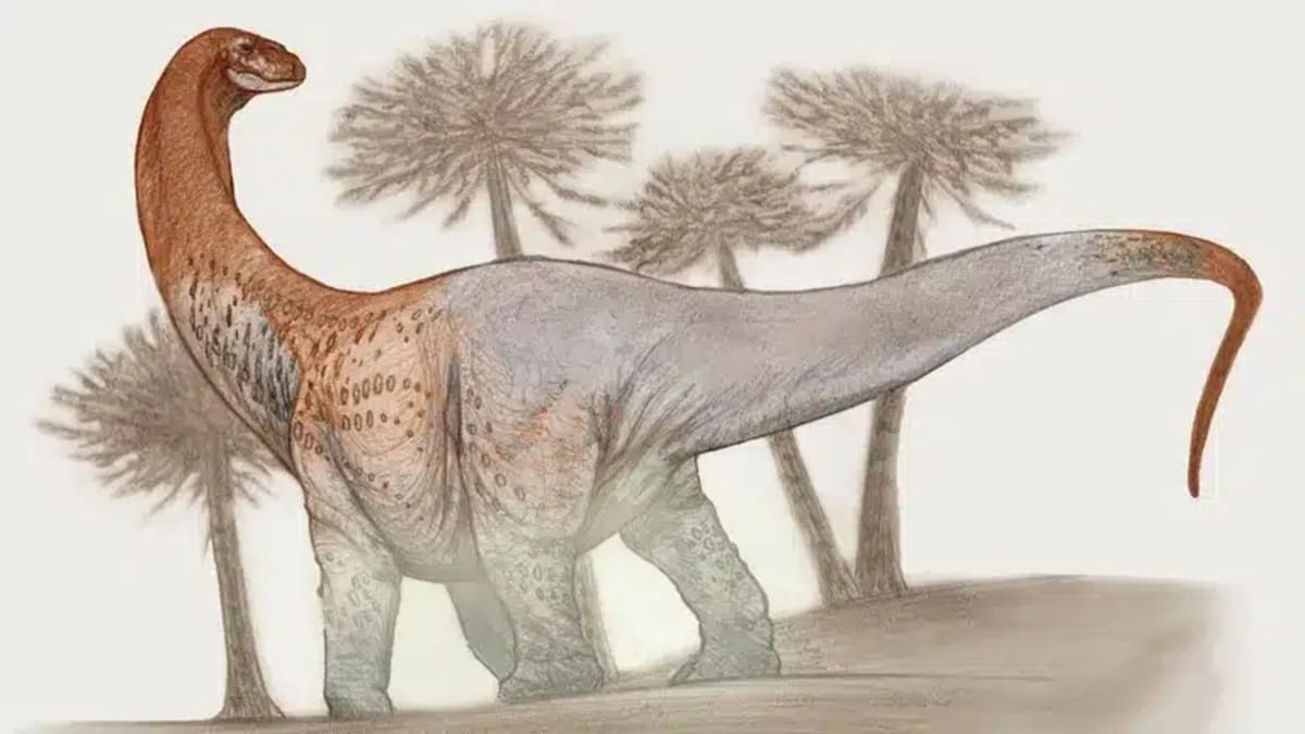Digital reconstruction of Chucarosaurus diripienda, a long-necked titanosaur from prehistoric Argentina