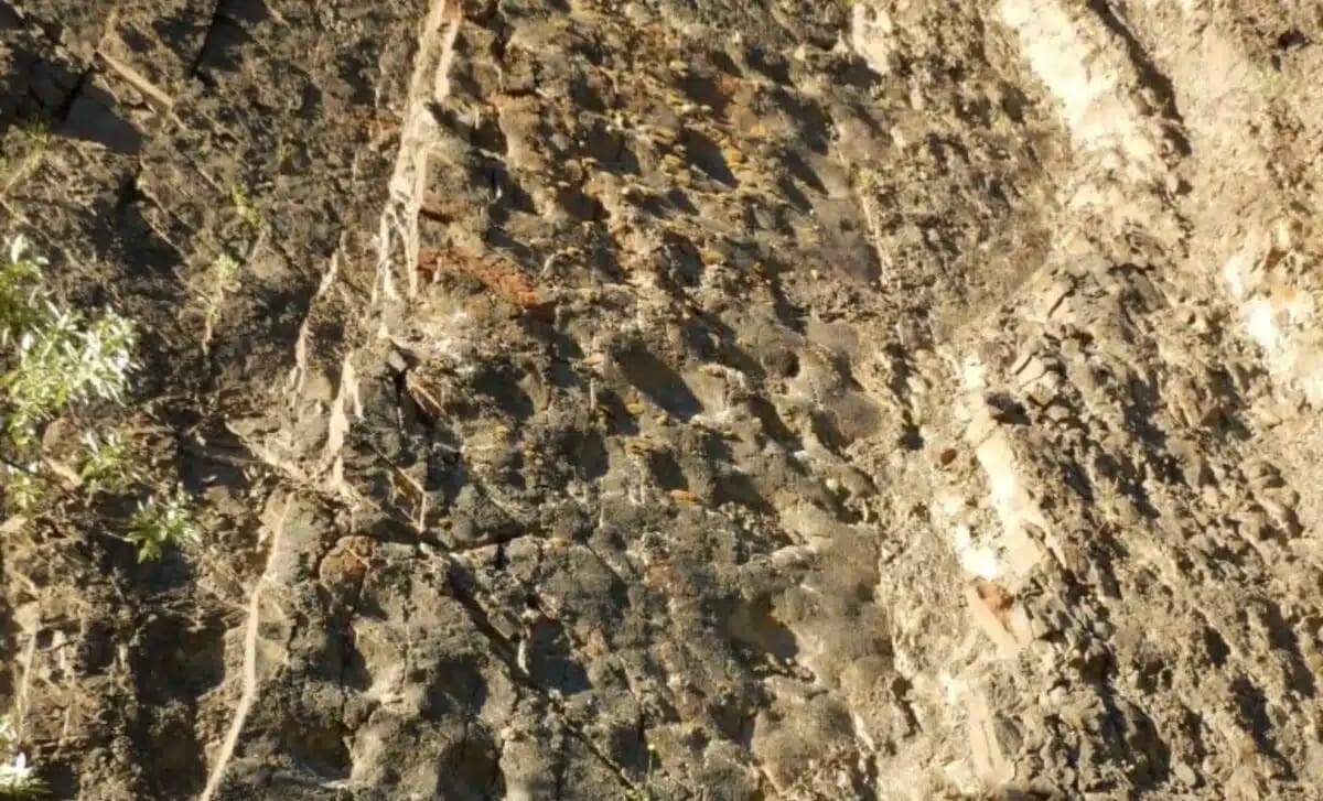 Alaska Cliff Reveals Thousands of Dinosaur Tracks at Sunset - Image 2