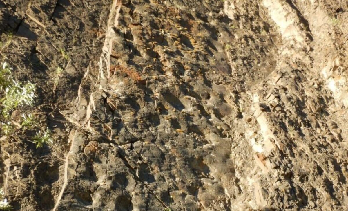 Alaska Cliff Reveals Thousands of Dinosaur Tracks at Sunset