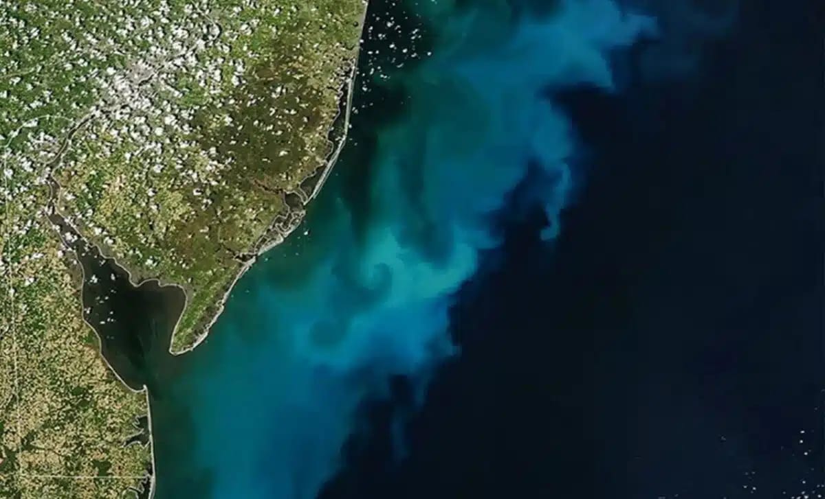 NASA Spots Giant Ocean Bloom From Space Off East Coast - Image 2