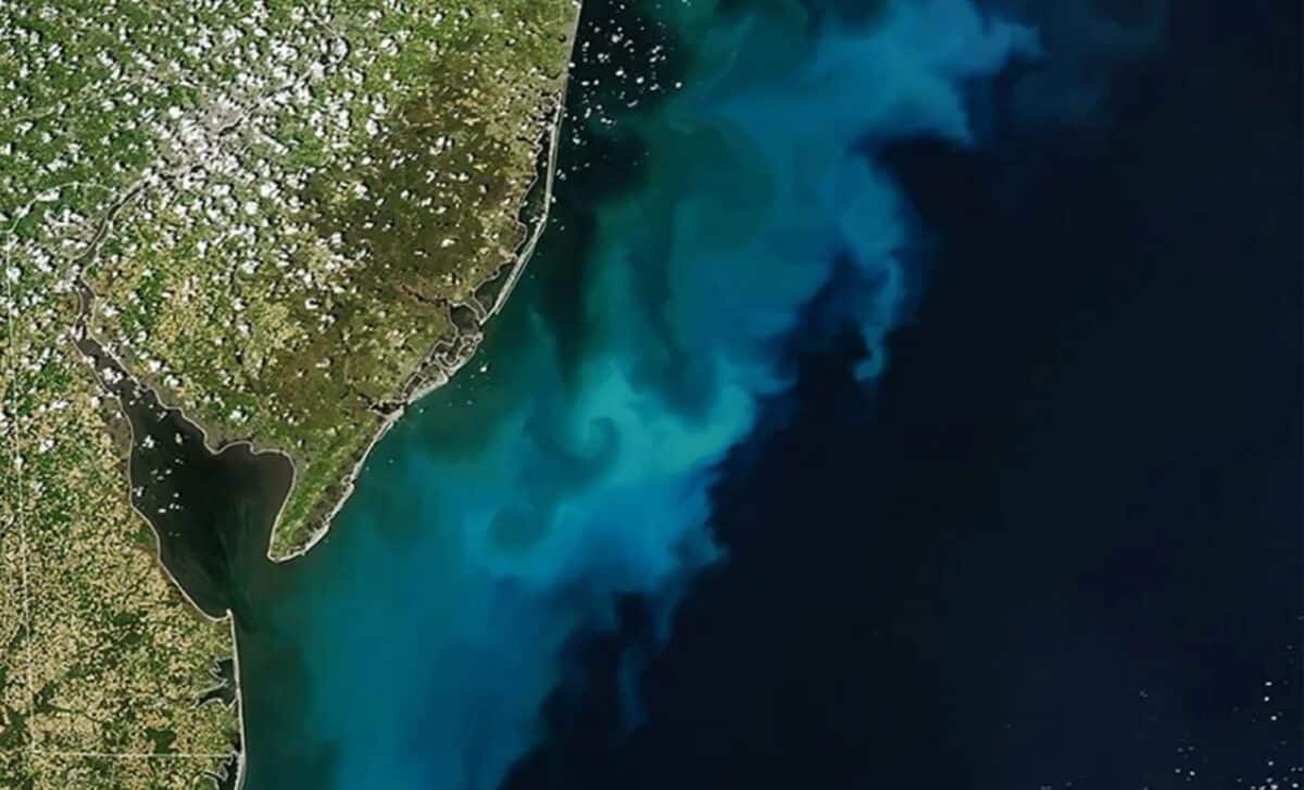 NASA Spots Giant Ocean Bloom From Space Off East Coast