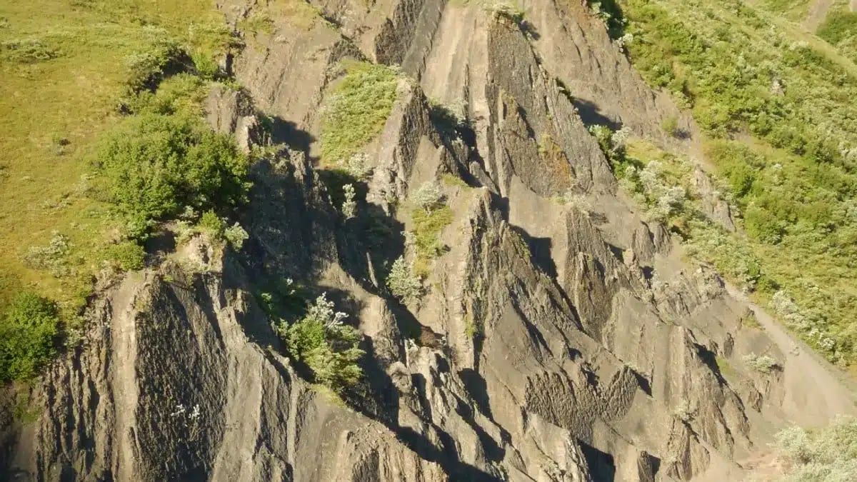 Alaska Cliff Reveals Thousands of Dinosaur Tracks at Sunset - Image 3