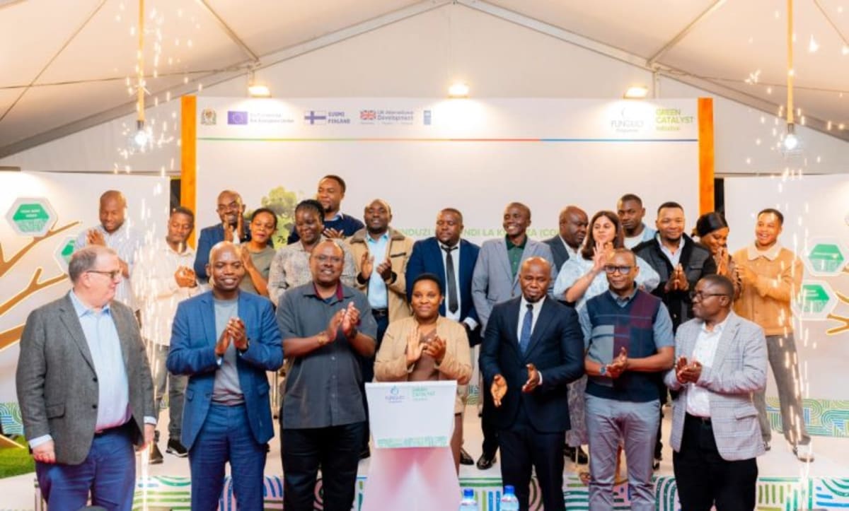 Finland Backs 14 Green Businesses in Tanzania's Forests - Image 2