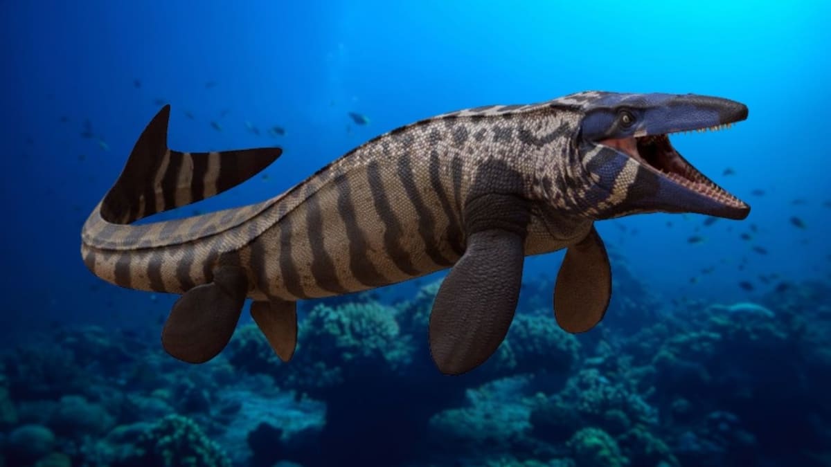 12-Year-Old Kansas Boy Discovers 85-Million-Year-Old Fossil