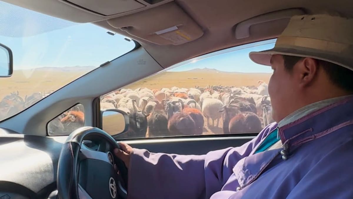 Singapore's 3D-Printed Bridge Uses Half the Workers - Image 2