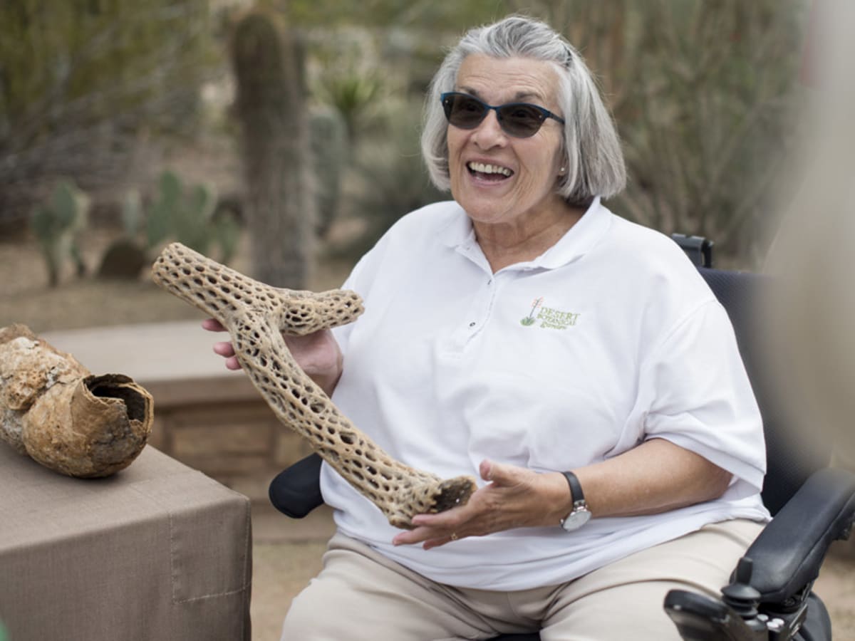 550 Volunteers Give 51,000 Hours to Desert Botanical Garden - Image 2