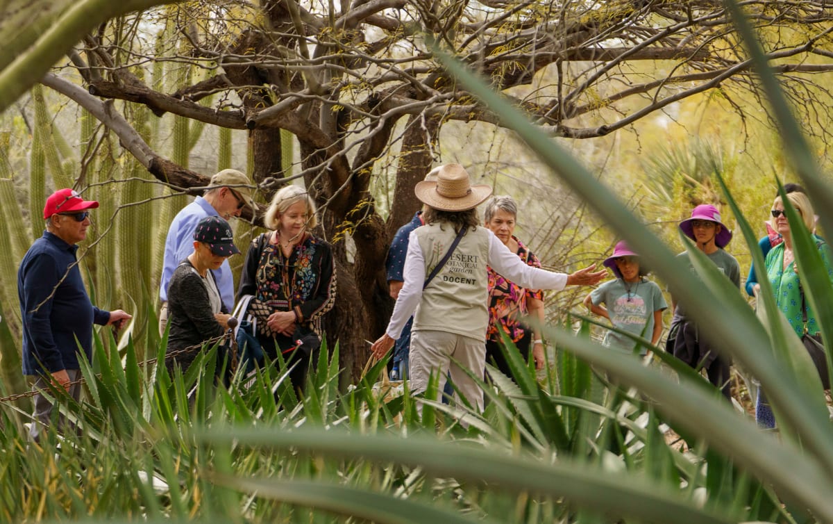 550 Volunteers Give 51,000 Hours to Desert Botanical Garden - Image 5