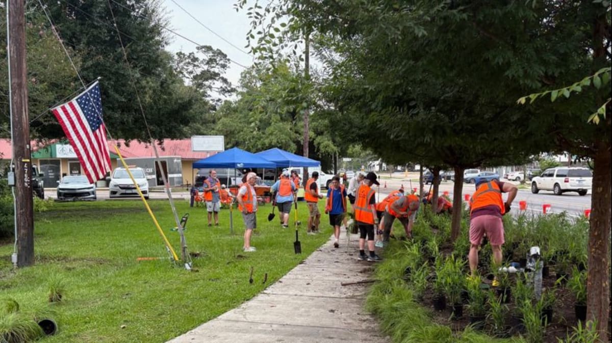 Baton Rouge Volunteers Transform Government Street Median