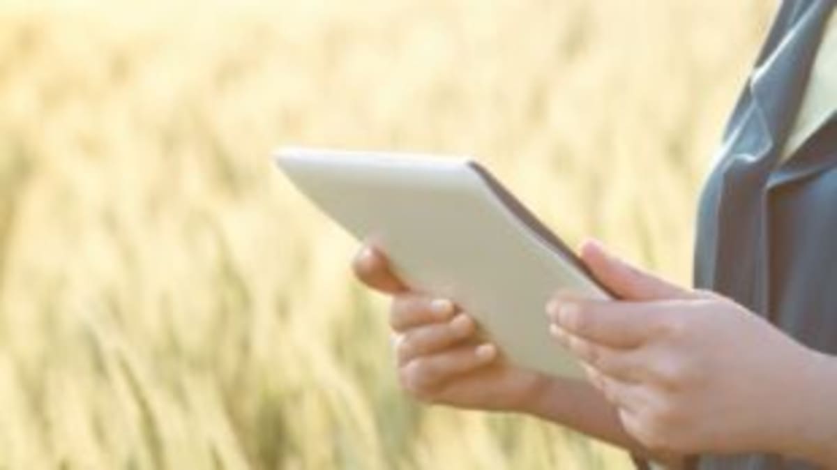 UK Invests £20M in Farm Robots to Tackle Labor Crisis - Image 5