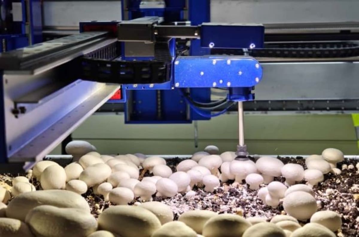 UK Invests £20M in Farm Robots to Tackle Labor Crisis - Image 3