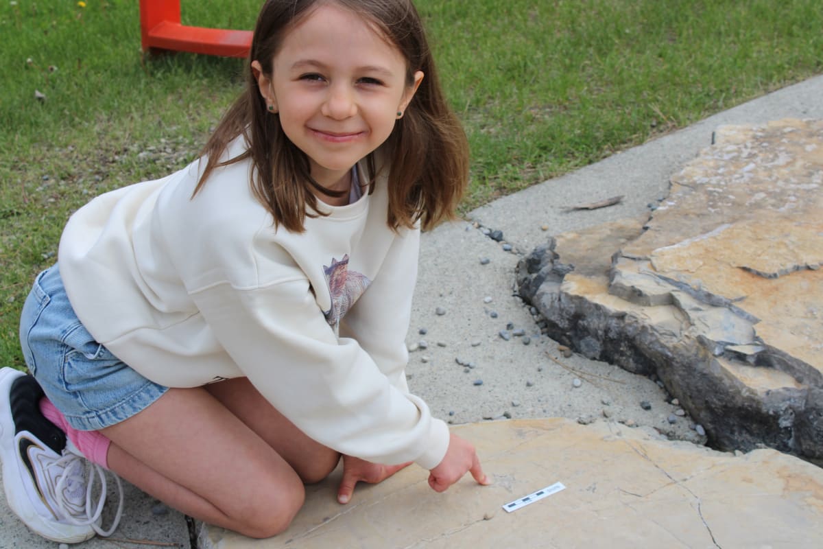 Young girl watches as paleontologists examine ancient sea star fossil embedded in playground boulder