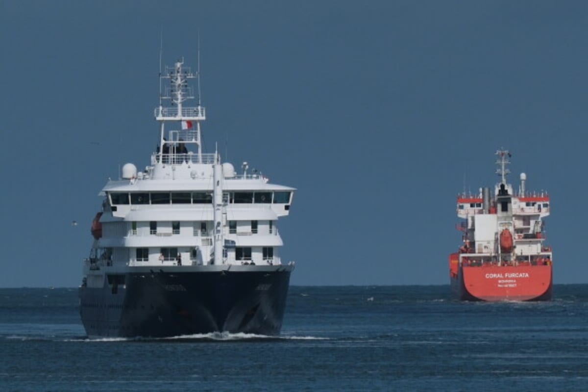 South African Scientists ID Cruise Ship Virus in 24 Hours - Image 3