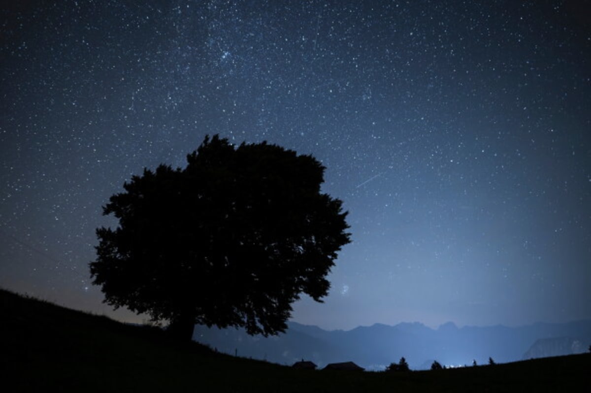 Perseid Meteor Shower Peaks This Weekend With 100 Meteors - Image 3