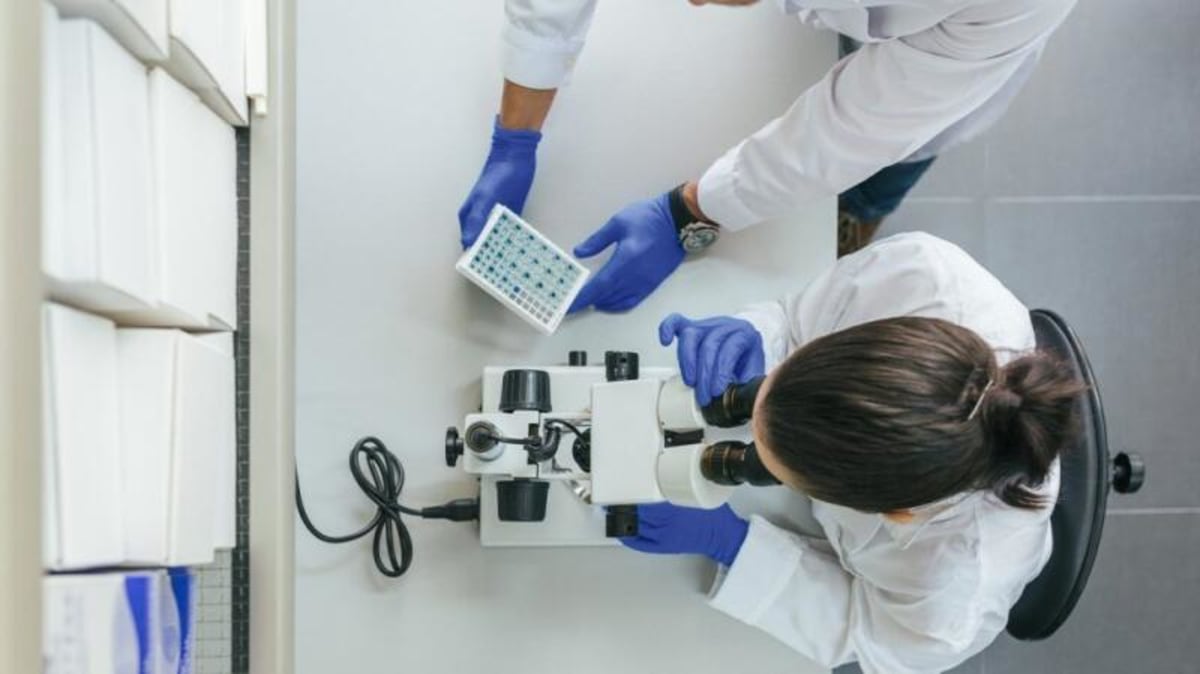 FDA Approves First Drugs to Reverse Liver Disease - Image 3