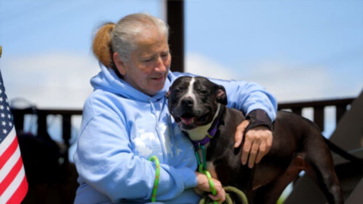 NEPA Volunteer Week: 7 Ways to Help Animals and Nature - Image 3