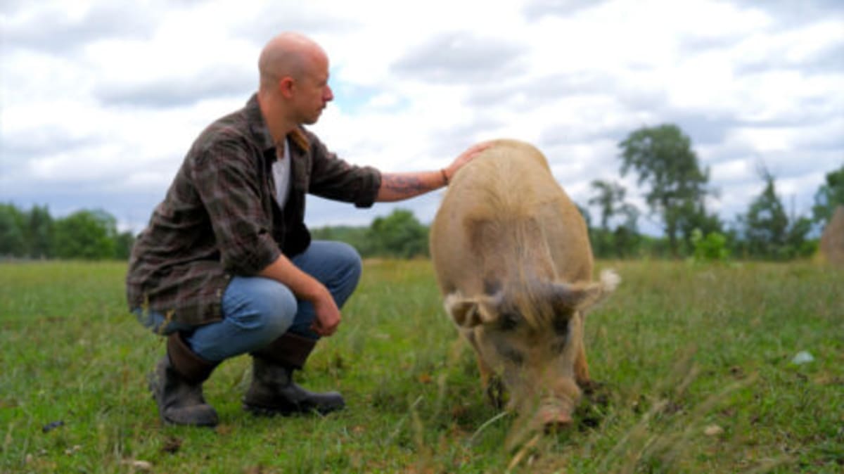 NEPA Volunteer Week: 7 Ways to Help Animals and Nature - Image 4