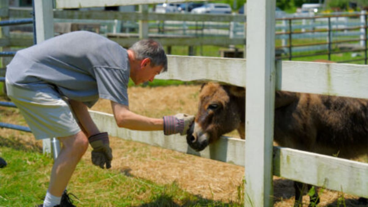 NEPA Volunteer Week: 7 Ways to Help Animals and Nature - Image 5