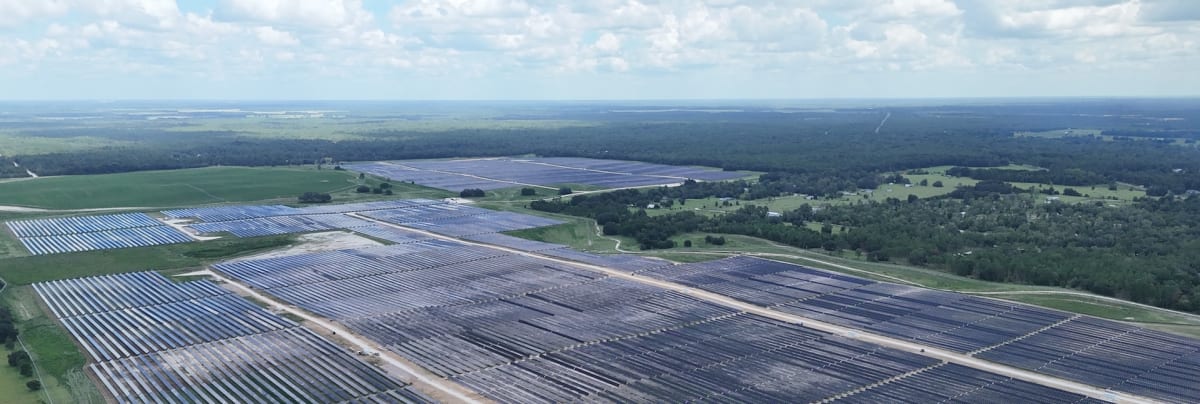 Disney Parks Now Run on 100% Solar Power During Peak Hours - Image 2