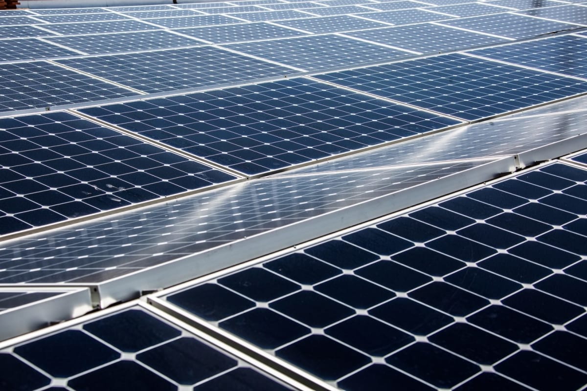 Disney Parks Now Run on 100% Solar Power During Peak Hours - Image 5