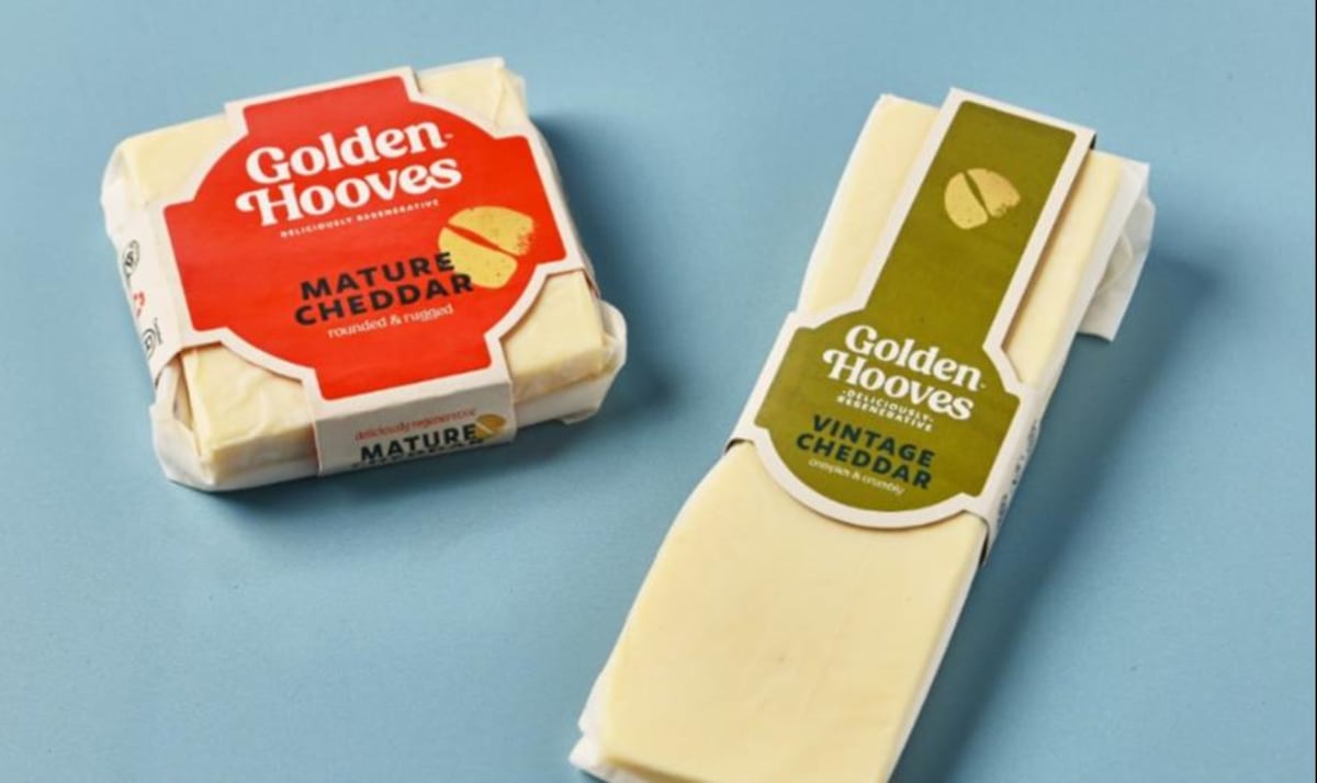 British dairy cows grazing in green pasture under sustainable farming practices