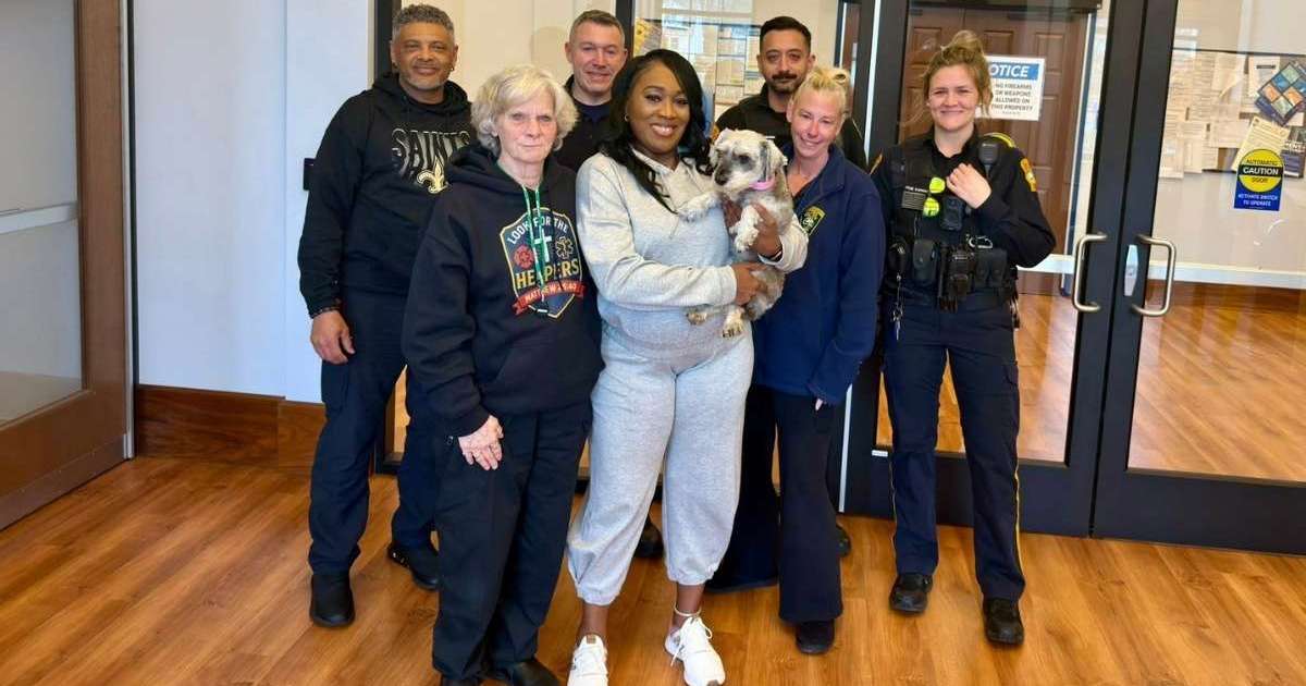 Dog Found 1,000 Miles Away After 2 Years Missing